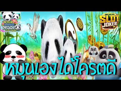 wild giant panda slot demo